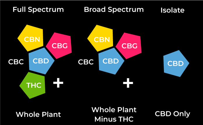 Comparing Full-Spectrum, Broad-Spectrum, and Isolate CBD Oils